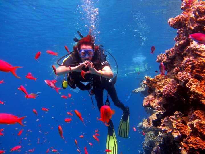 Sharm El Sheikh Tatil Rehberi
