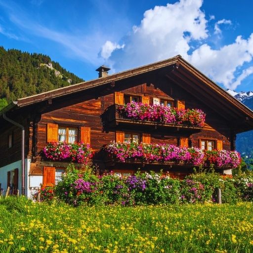 Sapanca Bungalov